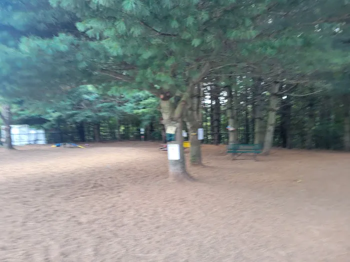 Franklin Dog Park 6