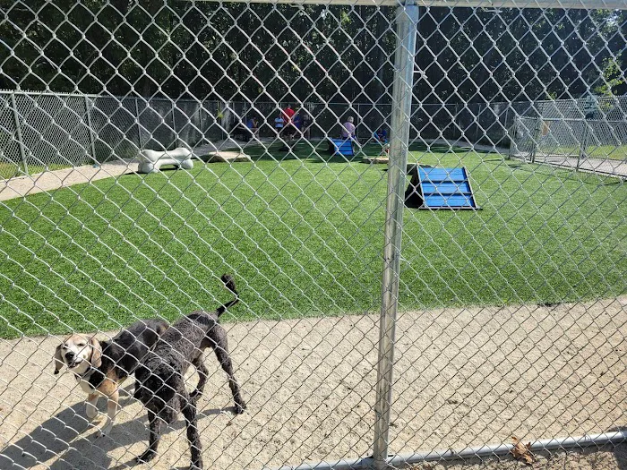 Fairlawn Dog Park 7