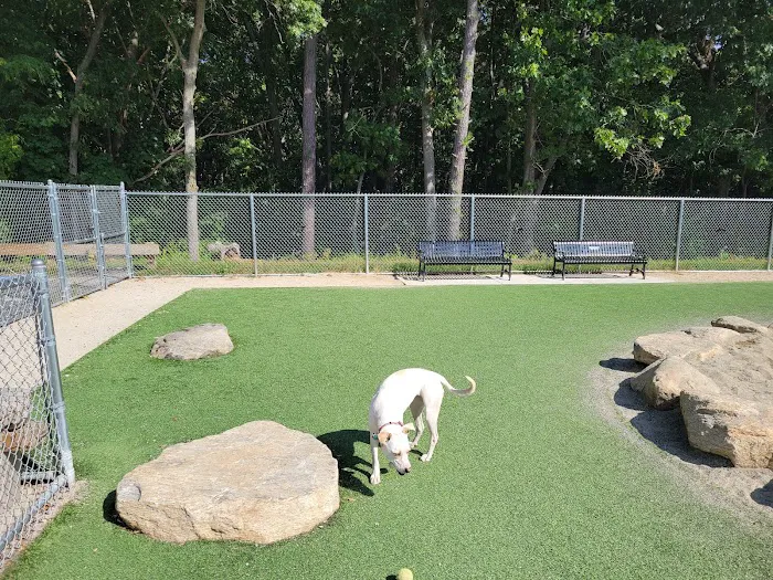 Fairlawn Dog Park 6