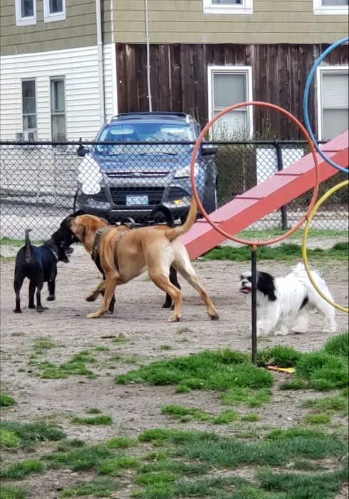 Central Falls Dog Park 4