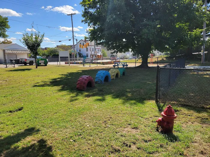 Central Falls Dog Park 3