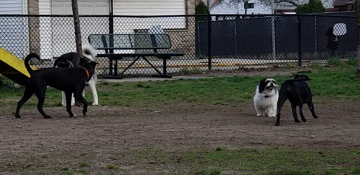 Central Falls Dog Park 10