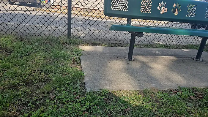 Central Falls Dog Park 8