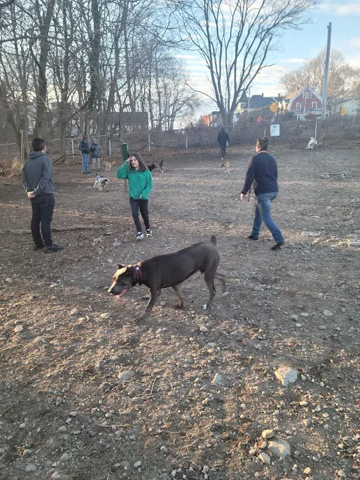 Waterman St. Dog Park 2