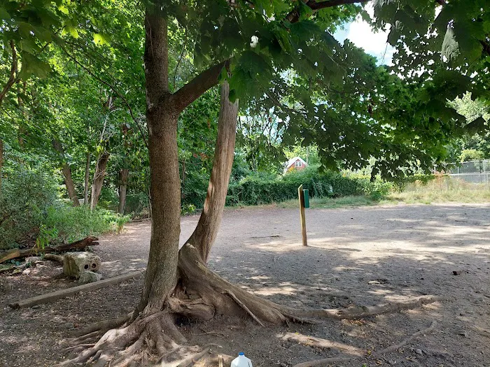 Waterman St. Dog Park 1