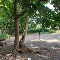 Waterman St. Dog Park ico