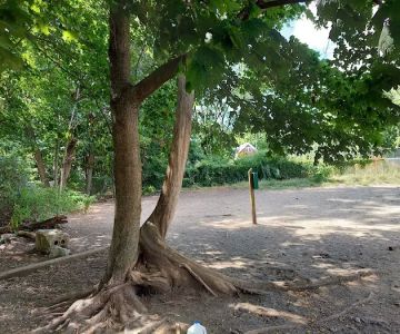Waterman St. Dog Park