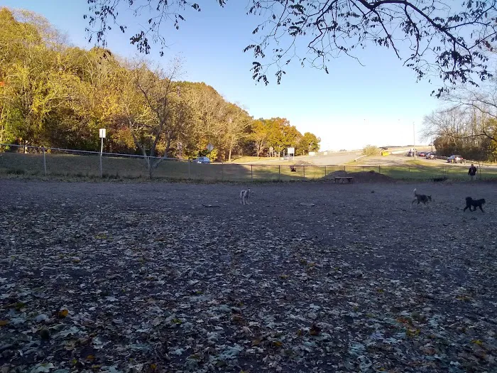 Waterman St. Dog Park 4