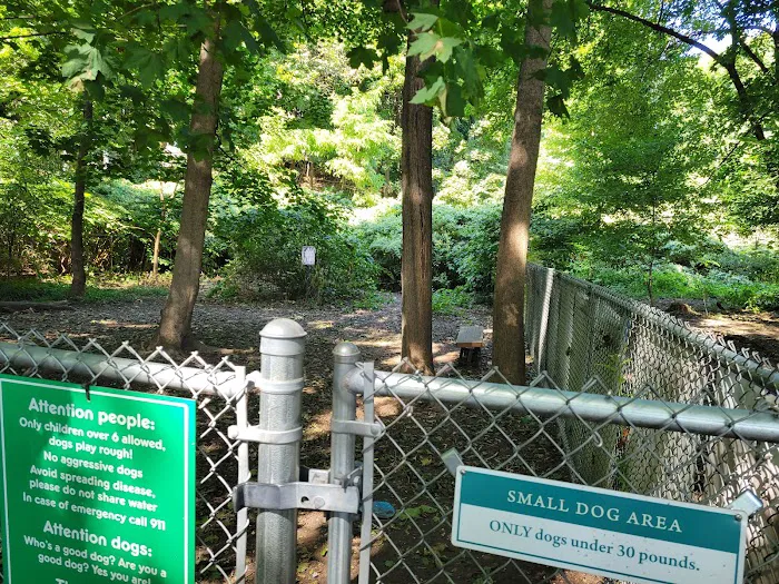 Waterman St. Dog Park 10