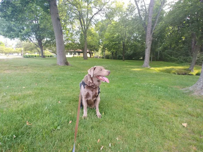 Pawtucket Dog Park (at Slater Park) 5
