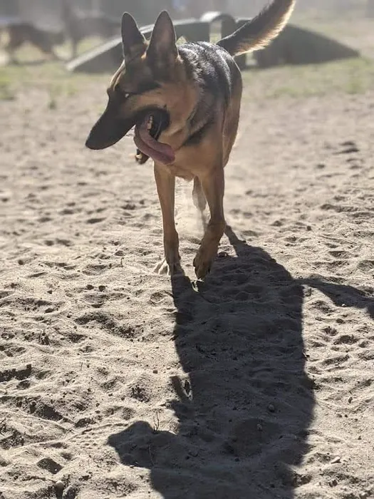 Pawtucket Dog Park (at Slater Park) 8