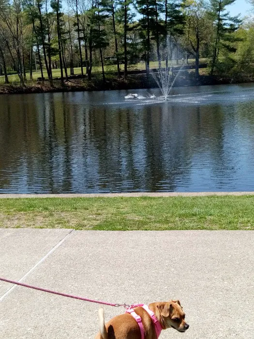 Pawtucket Dog Park (at Slater Park) 7
