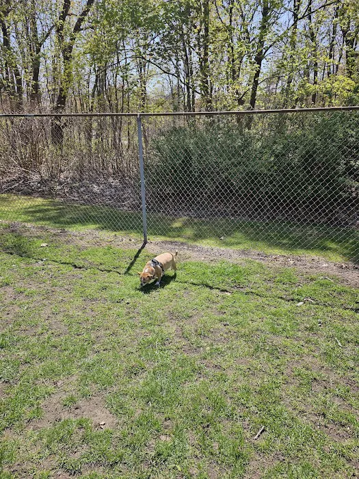 Pawtucket Dog Park (at Slater Park) 4