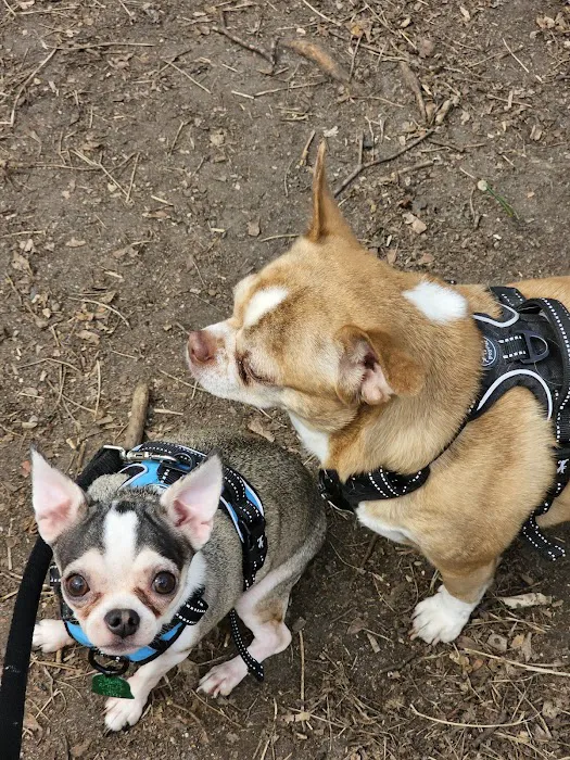 Pawtucket Dog Park (at Slater Park) 1