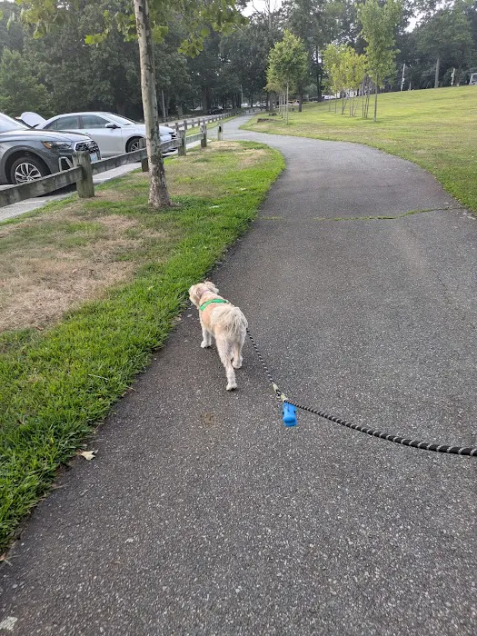 Pawtucket Dog Park (at Slater Park) 3