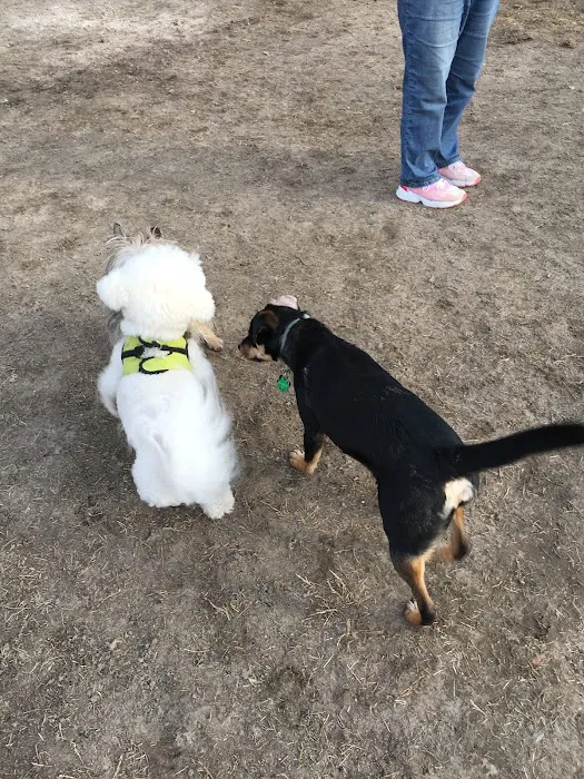 Pawtucket Dog Park (at Slater Park) 10