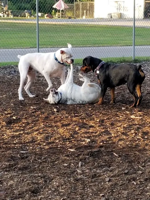 Attleboro Dog Park 5