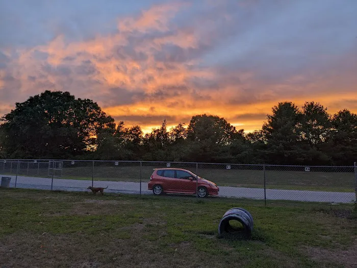 Attleboro Dog Park 6