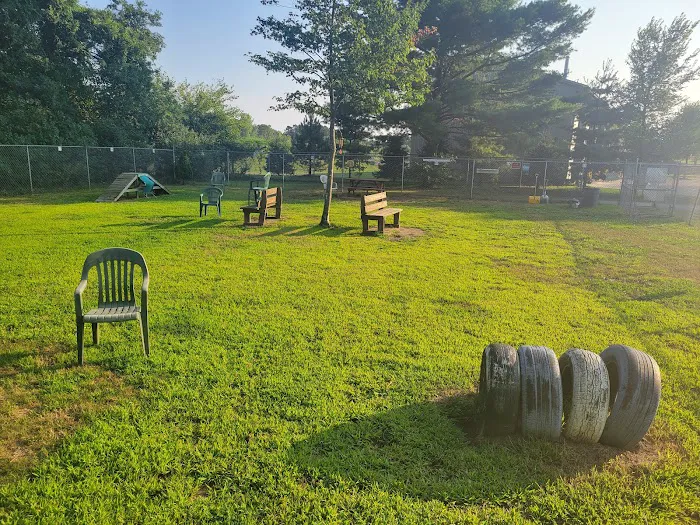 Attleboro Dog Park 4