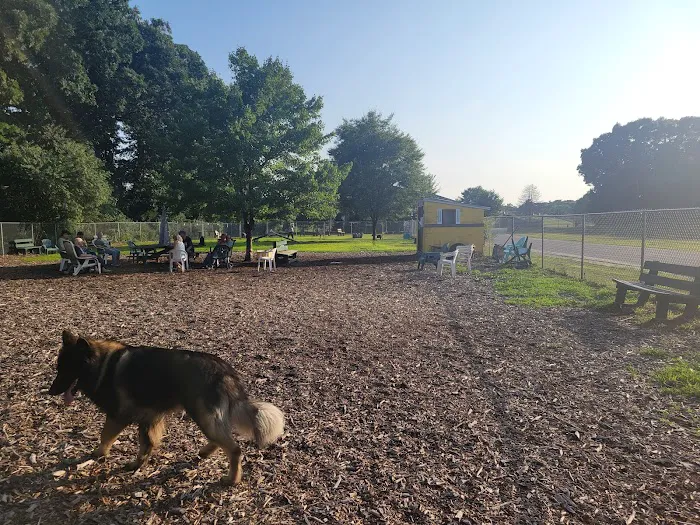 Attleboro Dog Park 2