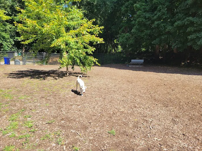 East Providence Dog Park 5