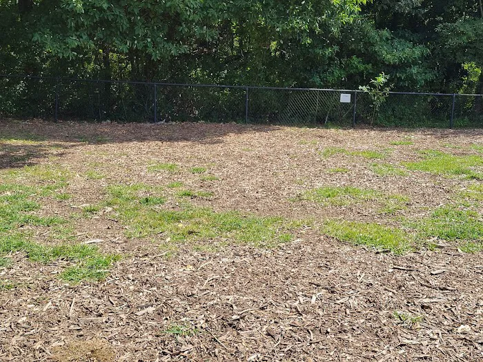 East Providence Dog Park 6