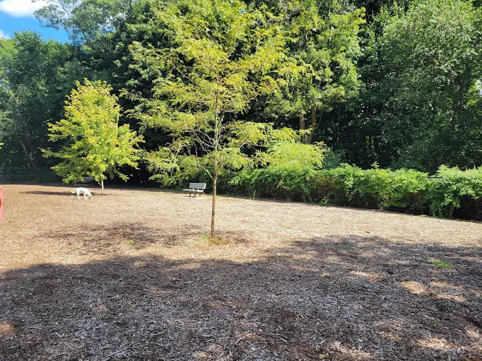 East Providence Dog Park 7