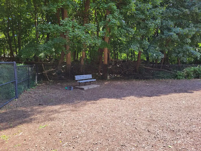 East Providence Dog Park 4