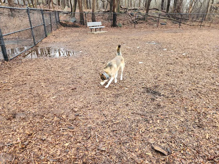 East Providence Dog Park 2