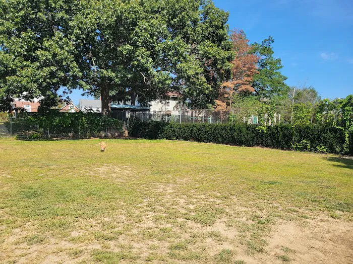 Sweeney Dog Park 8