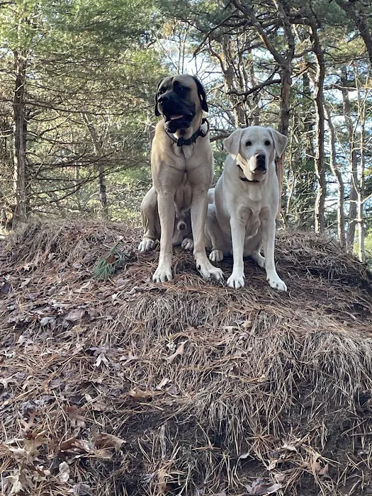 North Attleboro Dog Park & Trails 6