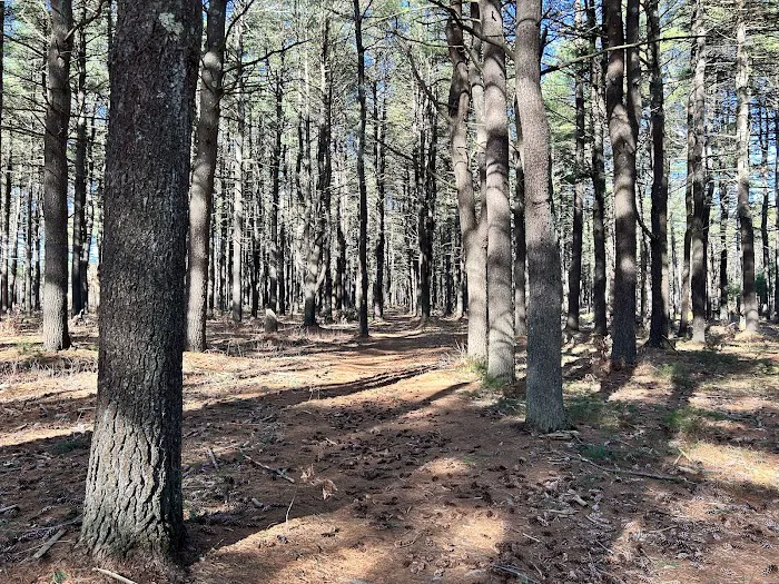 North Attleboro Dog Park & Trails 4