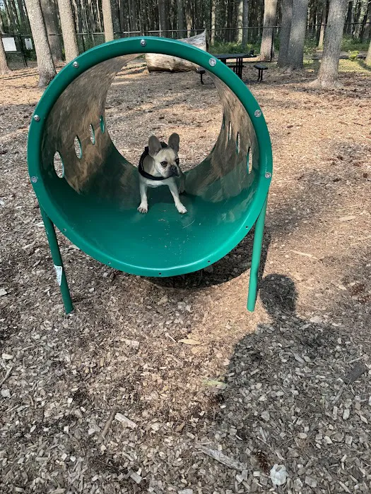 North Attleboro Dog Park & Trails 9