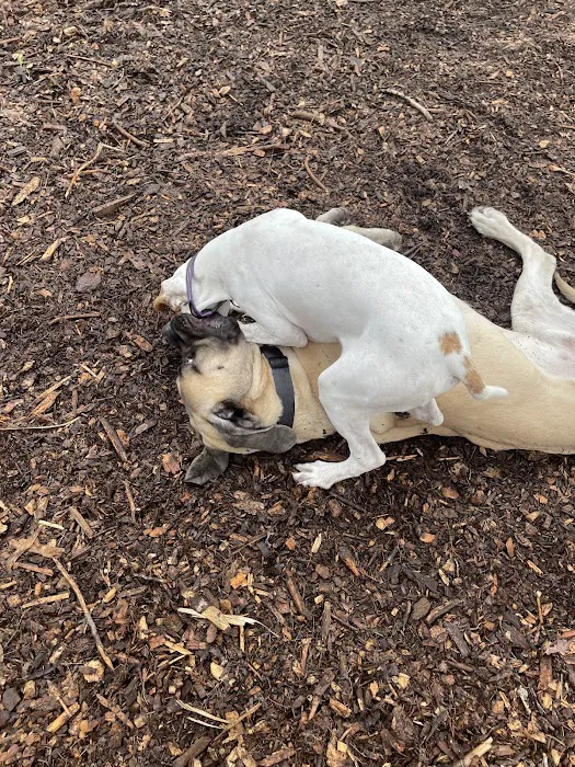 North Attleboro Dog Park & Trails 5