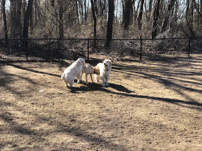 Barrington Dog Park 9