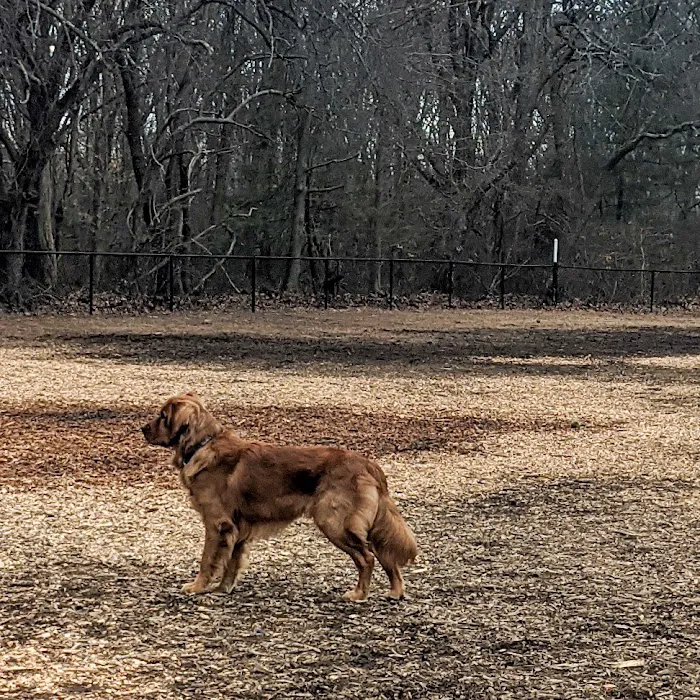 Barrington Dog Park 3