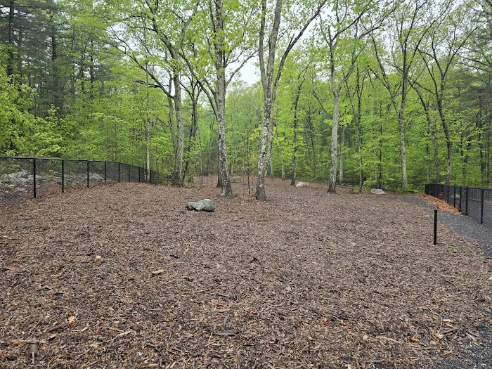 Marlborough Dog Park 2