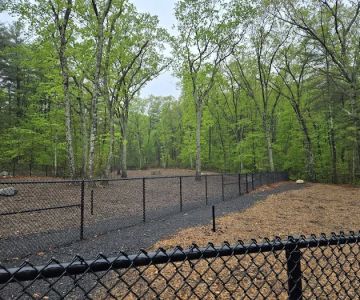 Marlborough Dog Park