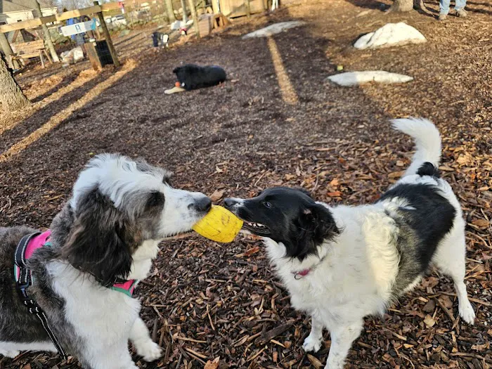 Raymond F Jones Memorial Dog Park 1