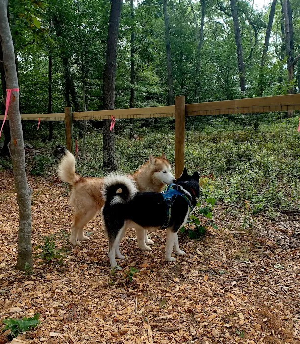 Raymond F Jones Memorial Dog Park 5