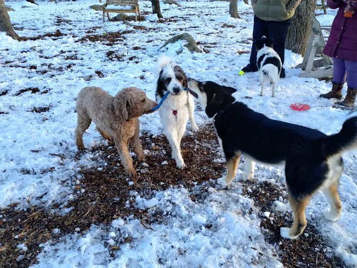 Raymond F Jones Memorial Dog Park 2