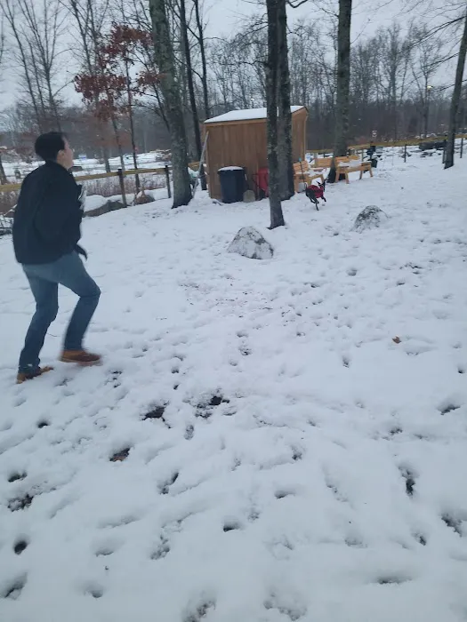 Raymond F Jones Memorial Dog Park 6