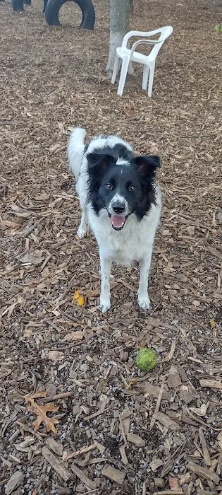 Raymond F Jones Memorial Dog Park 4