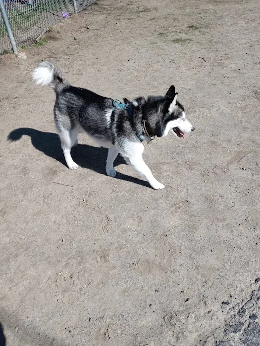 Jose Silva Dog Park 7