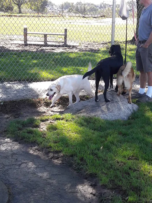 Jose Silva Dog Park 6