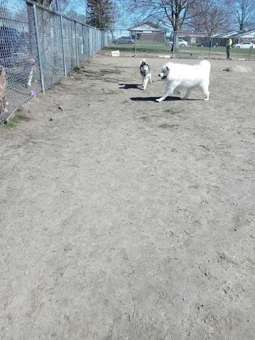 Jose Silva Dog Park 9