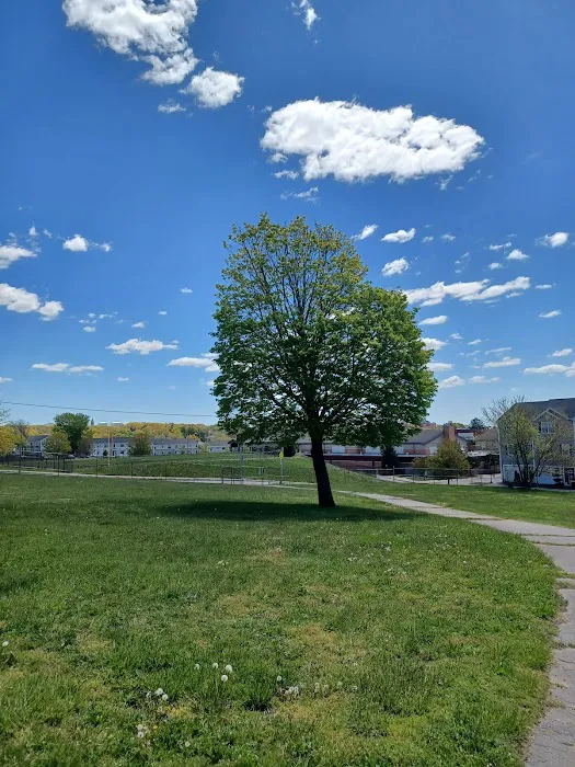 Jose Silva Dog Park 5