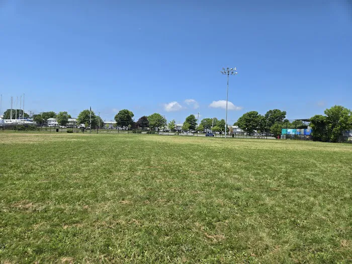 Ben Rose Field 4