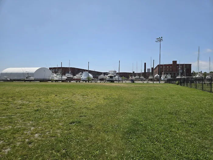 Ben Rose Field 7