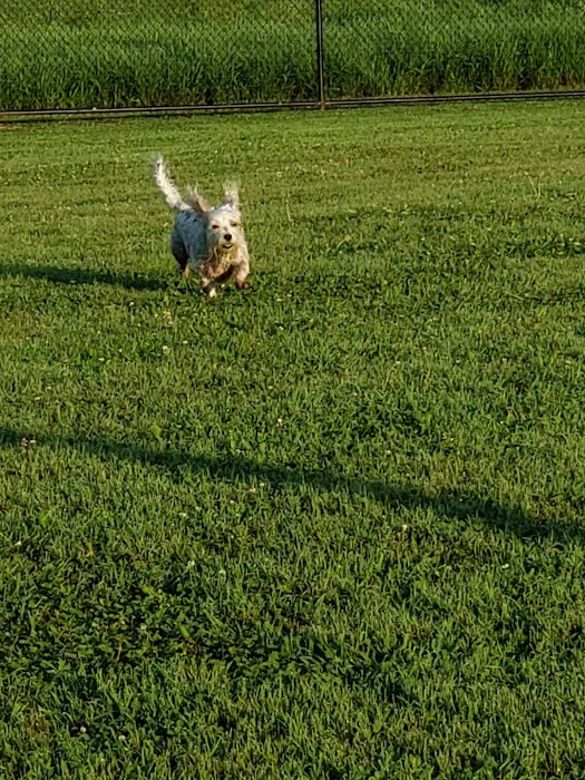 Cross Keys Community Dog Park 6